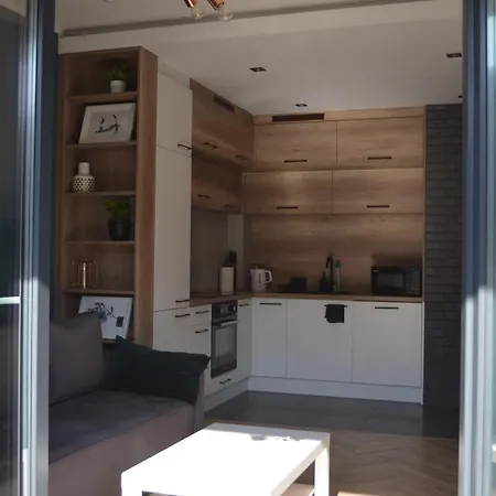 Apartment - Free Parking - Easy Check-in Sosnowiec